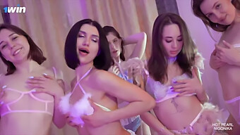 Aventura Apaixonada De Sexo Em Grupo De Nikonika Em Flamingo Orgy4