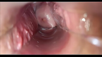 Vaginal Contractions And Orgasm In Close-Up View